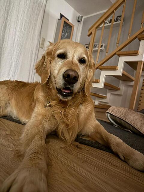 Klicke auf die Grafik für eine vergrößerte Ansicht  Name: b6eaa74c-0f20-42cb-9b2b-2c570b7982b4.jpg Ansichten: 41 Größe: 93,6 KB ID: 1207907