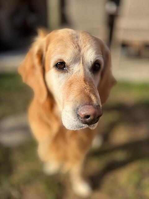 Klicke auf die Grafik für eine vergrößerte Ansicht  Name: da64be68-3d40-4092-9c92-2b4e0916c83c.jpg Ansichten: 43 Größe: 50,8 KB ID: 1207905