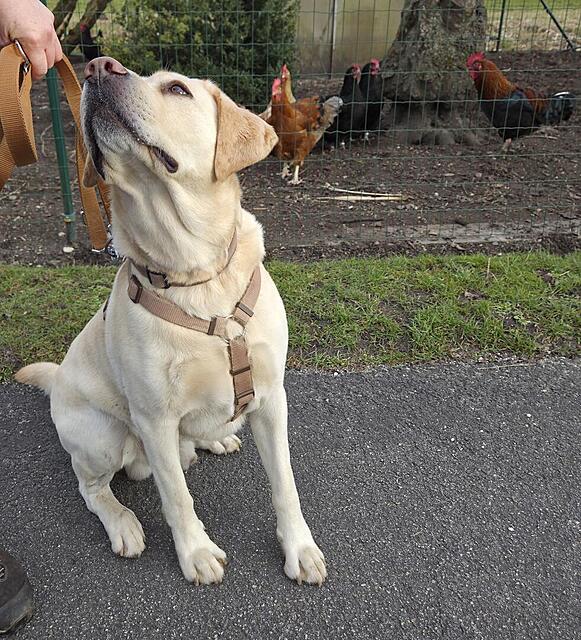 Klicke auf die Grafik für eine vergrößerte Ansicht  Name: 20260301_161530.jpg Ansichten: 0 Größe: 231,7 KB ID: 1207978