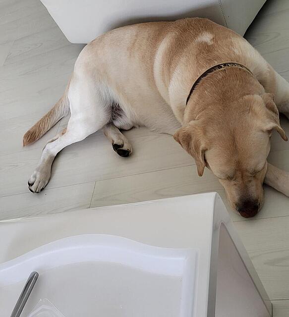 Klicke auf die Grafik für eine vergrößerte Ansicht

Name: 20260306_172712.jpg
Ansichten: 182
Größe: 71,0 KB
ID: 1208092