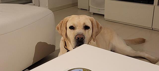 Klicke auf die Grafik für eine vergrößerte Ansicht

Name: 20260306_193514.jpg
Ansichten: 176
Größe: 30,4 KB
ID: 1208093