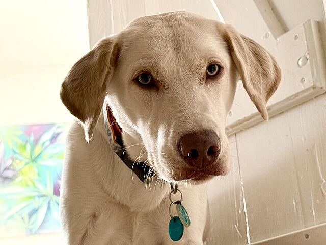 Klicke auf die Grafik für eine vergrößerte Ansicht  Name: IMG_E2347.jpg Ansichten: 52 Größe: 83,8 KB ID: 1208259