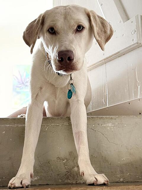 Klicke auf die Grafik für eine vergrößerte Ansicht  Name: IMG_E2346.jpg Ansichten: 0 Größe: 81,7 KB ID: 1208260