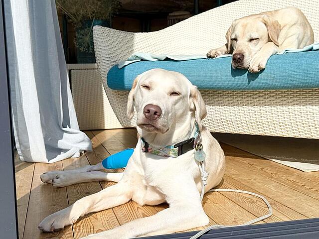 Klicke auf die Grafik für eine vergrößerte Ansicht  Name: IMG_E2275.jpg Ansichten: 0 Größe: 134,5 KB ID: 1208262