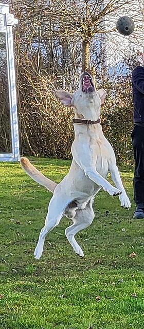 Klicke auf die Grafik für eine vergrößerte Ansicht

Name: 20260307_154102.jpg
Ansichten: 88
Größe: 178,4 KB
ID: 1208310