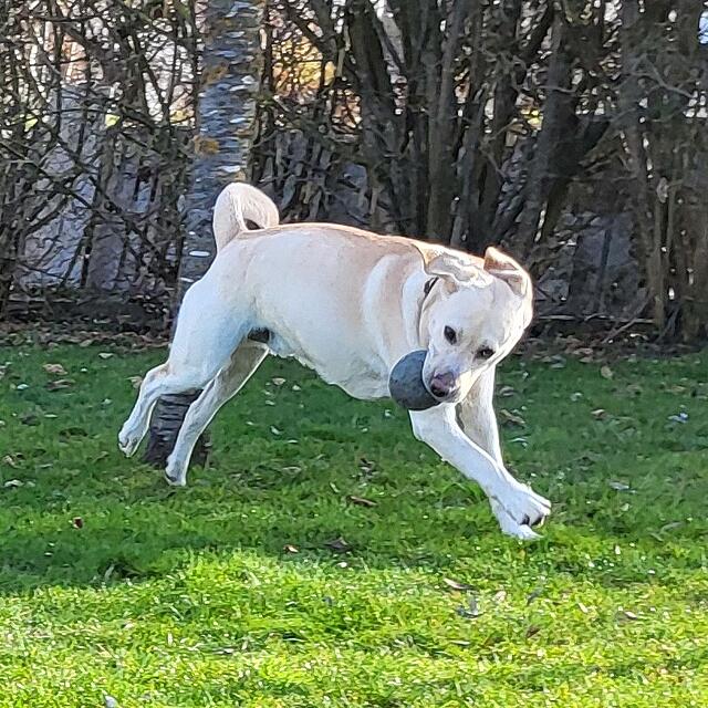 Klicke auf die Grafik für eine vergrößerte Ansicht

Name: 20260307_154032.jpg
Ansichten: 88
Größe: 229,2 KB
ID: 1208313