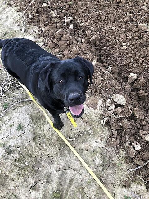 Klicke auf die Grafik für eine vergrößerte Ansicht  Name: IMG_8950.jpg Ansichten: 32 Größe: 247,7 KB ID: 1208335