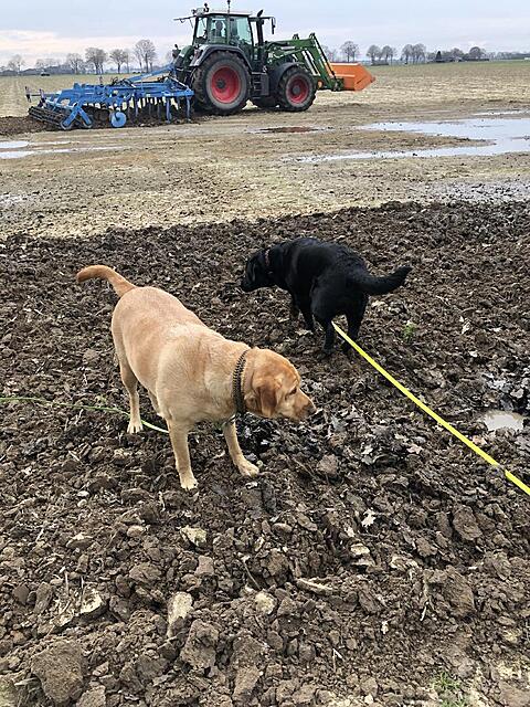 Klicke auf die Grafik für eine vergrößerte Ansicht  Name: IMG_8943.jpg Ansichten: 32 Größe: 263,8 KB ID: 1208332