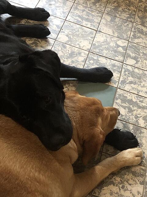 Klicke auf die Grafik für eine vergrößerte Ansicht  Name: IMG_8957.jpg Ansichten: 32 Größe: 115,9 KB ID: 1208333