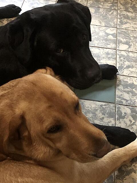 Klicke auf die Grafik für eine vergrößerte Ansicht  Name: IMG_8958.jpg Ansichten: 32 Größe: 96,5 KB ID: 1208334