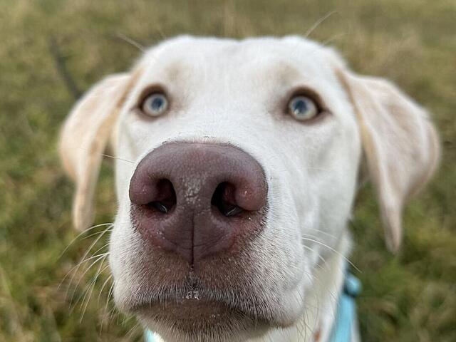 Klicke auf die Grafik für eine vergrößerte Ansicht  Name: IMG_1015.jpg Ansichten: 0 Größe: 70,7 KB ID: 1208601