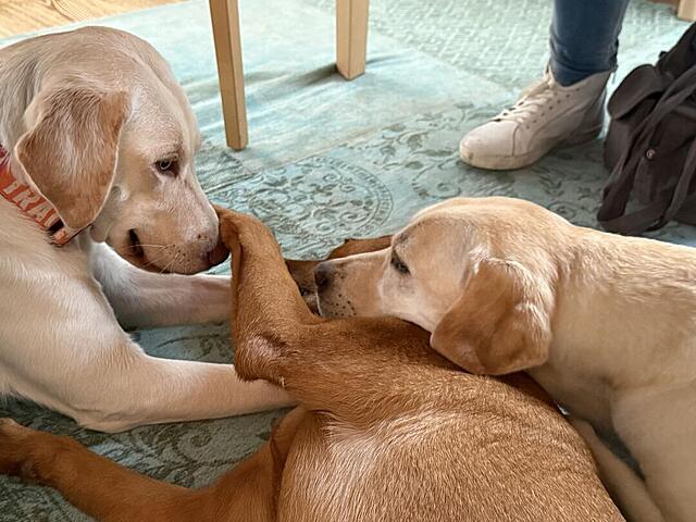 Klicke auf die Grafik für eine vergrößerte Ansicht  Name: IMG_2416.jpg Ansichten: 0 Größe: 113,5 KB ID: 1208602