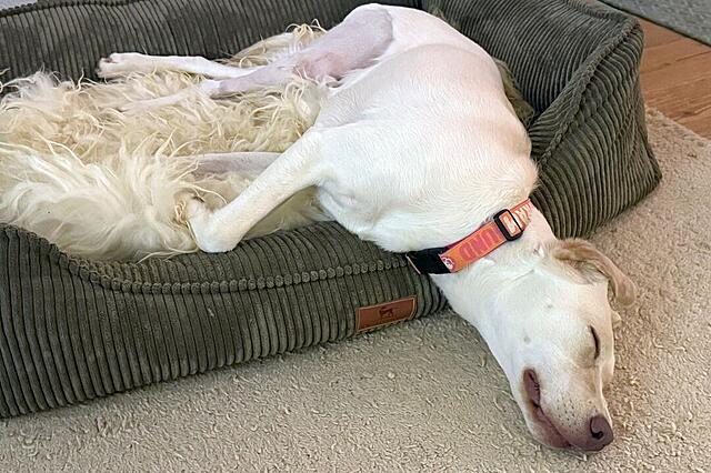 Klicke auf die Grafik für eine vergrößerte Ansicht  Name: IMG_2422.jpg Ansichten: 0 Größe: 130,8 KB ID: 1208603