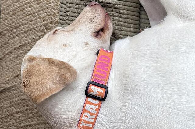 Klicke auf die Grafik für eine vergrößerte Ansicht  Name: IMG_4861.jpg Ansichten: 0 Größe: 117,8 KB ID: 1208604