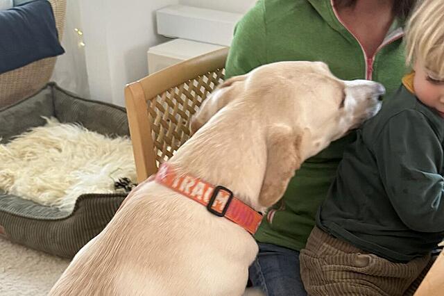 Klicke auf die Grafik für eine vergrößerte Ansicht  Name: Gab.jpg Ansichten: 0 Größe: 74,5 KB ID: 1208605