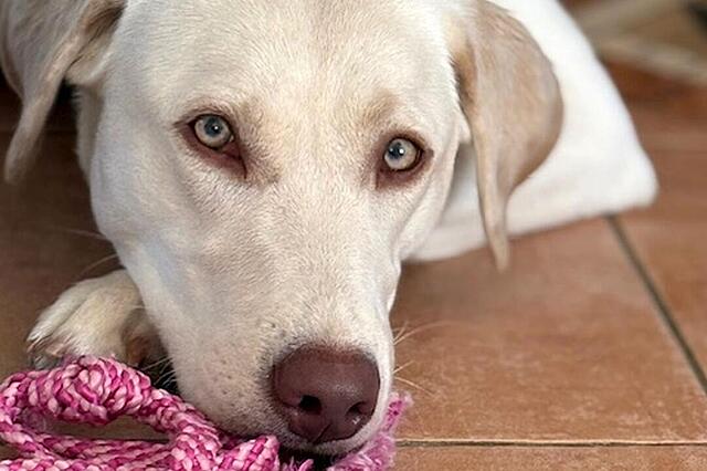 Klicke auf die Grafik für eine vergrößerte Ansicht  Name: 13.jpg Ansichten: 0 Größe: 72,1 KB ID: 1208917