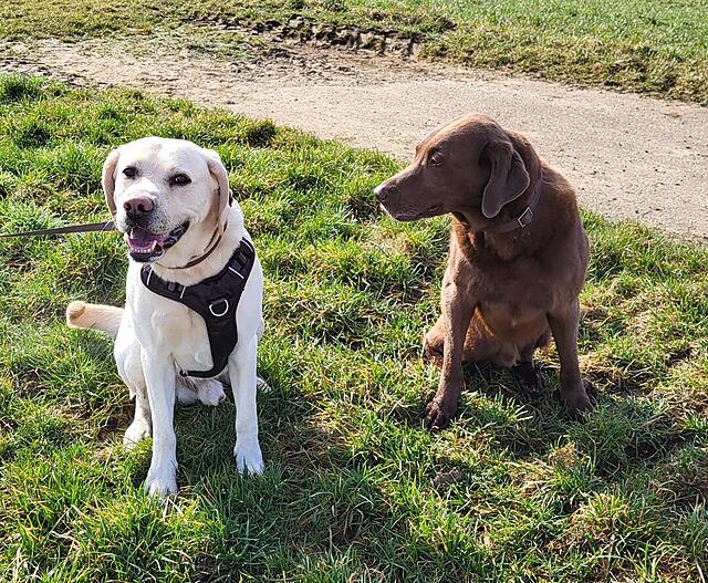 Klicke auf die Grafik für eine vergrößerte Ansicht

Name: 20260308_095301.jpg
Ansichten: 215
Größe: 316,6 KB
ID: 1208996