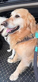 Klicke auf die Grafik für eine vergrößerte Ansicht  Name: a7a67d21-fab0-4aeb-902f-3a1ac762f3bd.jpg Ansichten: 46 Größe: 97,8 KB ID: 1209073