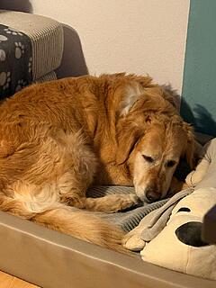 Klicke auf die Grafik für eine vergrößerte Ansicht  Name: a16e9bca-e9a9-47c9-b82b-26e314151b5c.jpg Ansichten: 44 Größe: 116,2 KB ID: 1209074