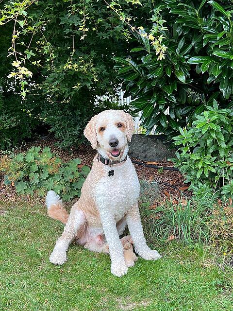 Klicke auf die Grafik für eine vergrößerte Ansicht  Name: Theo8 #1644.jpg Ansichten: 0 Größe: 268,4 KB ID: 1209232