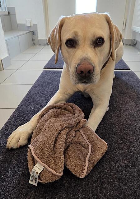 Klicke auf die Grafik für eine vergrößerte Ansicht

Name: 20260306_072622.jpg
Ansichten: 141
Größe: 126,3 KB
ID: 1209288