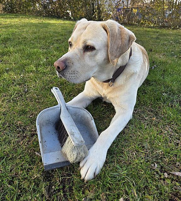 Klicke auf die Grafik für eine vergrößerte Ansicht

Name: 20260307_160058.jpg
Ansichten: 143
Größe: 275,7 KB
ID: 1209289