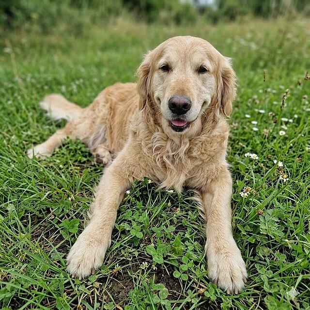 Klicke auf die Grafik für eine vergrößerte Ansicht

Name: IMG-20260320-WA0009[1].jpg
Ansichten: 87
Größe: 140,4 KB
ID: 1209550