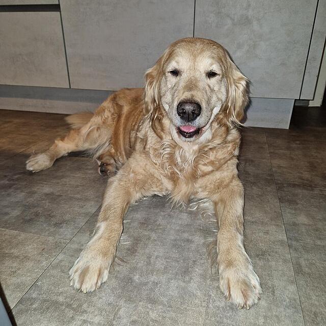 Klicke auf die Grafik für eine vergrößerte Ansicht

Name: 20260319_145640.jpg
Ansichten: 20
Größe: 144,8 KB
ID: 1209886