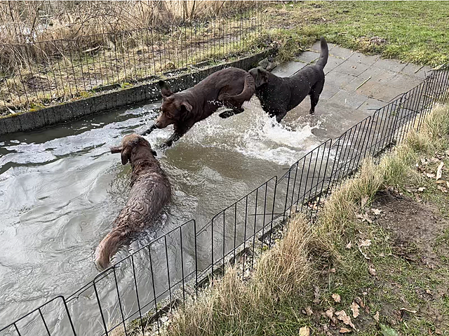 Klicke auf die Grafik für eine vergrößerte Ansicht  Name: IMG_3007.png Ansichten: 28 Größe: 2,06 MB ID: 1209780