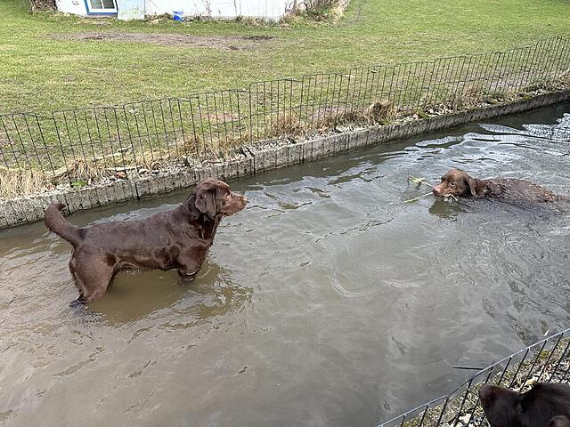 Klicke auf die Grafik für eine vergrößerte Ansicht  Name: IMG_2728.jpg Ansichten: 28 Größe: 196,3 KB ID: 1209781