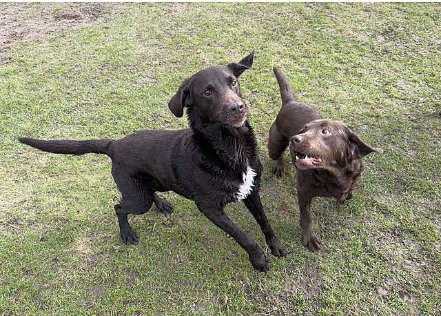 Klicke auf die Grafik für eine vergrößerte Ansicht  Name: IMG_2777.png Ansichten: 38 Größe: 1,90 MB ID: 1209790