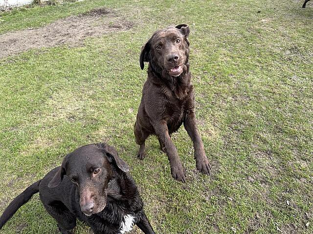 Klicke auf die Grafik für eine vergrößerte Ansicht  Name: IMG_2733.jpg Ansichten: 38 Größe: 249,7 KB ID: 1209791