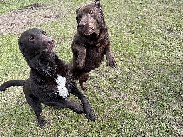 Klicke auf die Grafik für eine vergrößerte Ansicht  Name: IMG_2734.jpg Ansichten: 38 Größe: 277,8 KB ID: 1209792