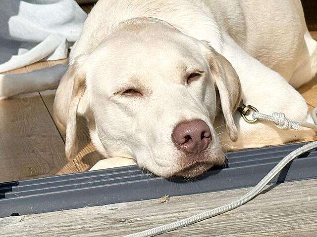 Klicke auf die Grafik für eine vergrößerte Ansicht  Name: IMG_E2281.jpg Ansichten: 19 Größe: 114,0 KB ID: 1209829