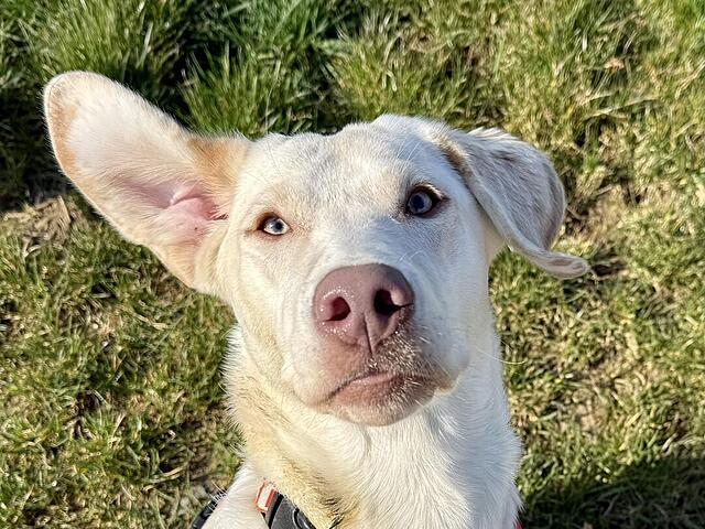 Klicke auf die Grafik für eine vergrößerte Ansicht  Name: IMG_E2500.jpg Ansichten: 19 Größe: 168,3 KB ID: 1209827