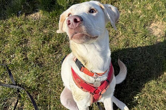 Klicke auf die Grafik für eine vergrößerte Ansicht  Name: IMG_2501.jpg Ansichten: 19 Größe: 147,4 KB ID: 1209828