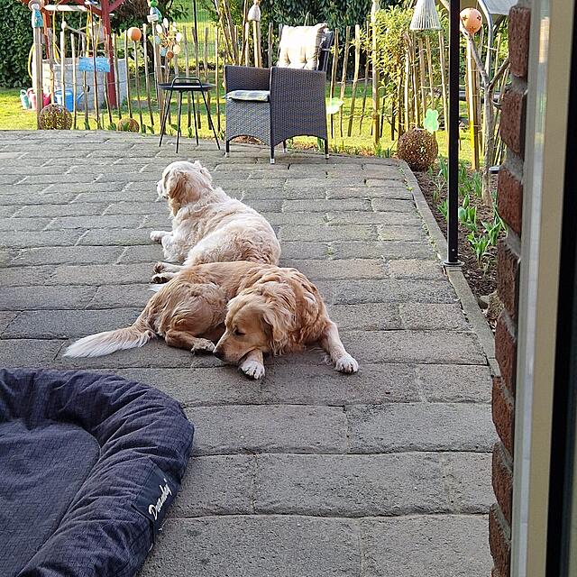 Klicke auf die Grafik für eine vergrößerte Ansicht

Name: 20260322_170210.jpg
Ansichten: 22
Größe: 277,9 KB
ID: 1209880