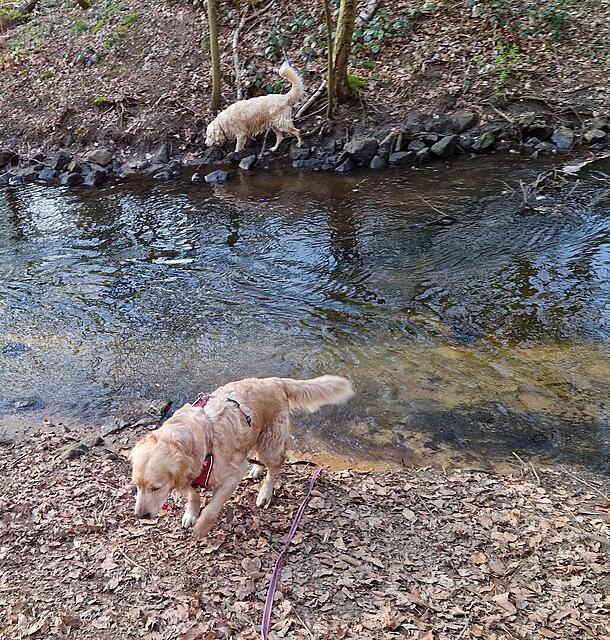 Klicke auf die Grafik für eine vergrößerte Ansicht

Name: 20260322_160600.jpg
Ansichten: 21
Größe: 335,9 KB
ID: 1209882