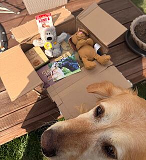 Klicke auf die Grafik für eine vergrößerte Ansicht

Name: ce8ef5d4-f4f7-40cf-8432-1af82de9289a.jpg
Ansichten: 33
Größe: 114,3 KB
ID: 1209912