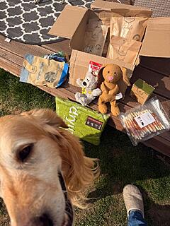 Klicke auf die Grafik für eine vergrößerte Ansicht

Name: 3ea6d32c-7c78-46df-b269-02fe3af9abe3.jpg
Ansichten: 33
Größe: 166,4 KB
ID: 1209913