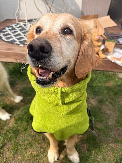 Klicke auf die Grafik für eine vergrößerte Ansicht

Name: 156238a6-373f-493e-8806-13ad3286f41c.jpg
Ansichten: 33
Größe: 105,2 KB
ID: 1209914