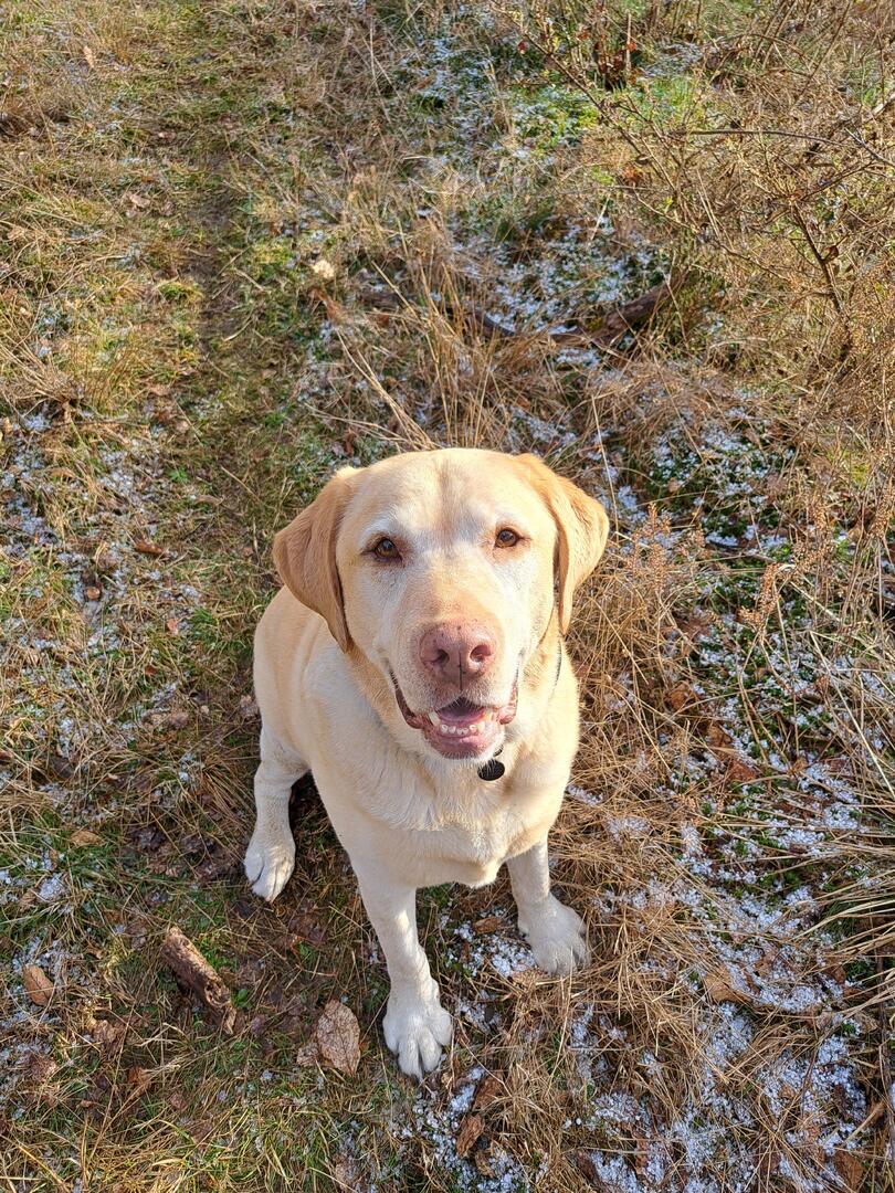 Klicke auf die Grafik für eine vergrößerte Ansicht  Name: 20260326_171252.jpg Ansichten: 51 Größe: 302,7 KB ID: 1210282