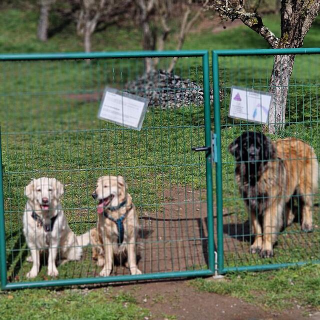 Klicke auf die Grafik für eine vergrößerte Ansicht  Name: 20260326_134926.jpg Ansichten: 0 Größe: 189,0 KB ID: 1210584