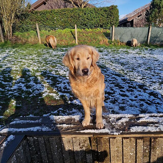 Klicke auf die Grafik für eine vergrößerte Ansicht  Name: 20260326_173202.jpg Ansichten: 0 Größe: 339,6 KB ID: 1210580