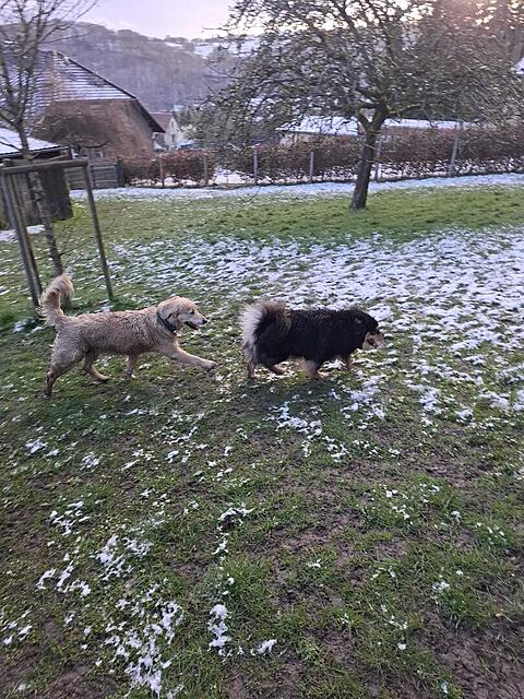 Klicke auf die Grafik für eine vergrößerte Ansicht  Name: IMG-20260326-WA0068.jpg Ansichten: 0 Größe: 221,7 KB ID: 1210581