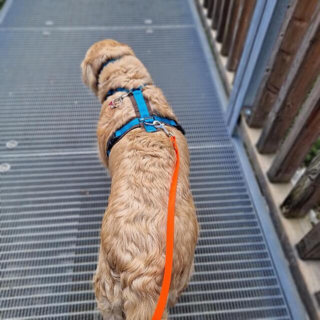 Klicke auf die Grafik für eine vergrößerte Ansicht  Name: 20260327_124746.jpg Ansichten: 0 Größe: 141,1 KB ID: 1210582