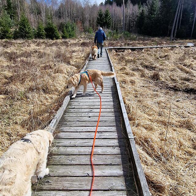 Klicke auf die Grafik für eine vergrößerte Ansicht  Name: 20260329_114146.jpg Ansichten: 63 Größe: 359,4 KB ID: 1210589