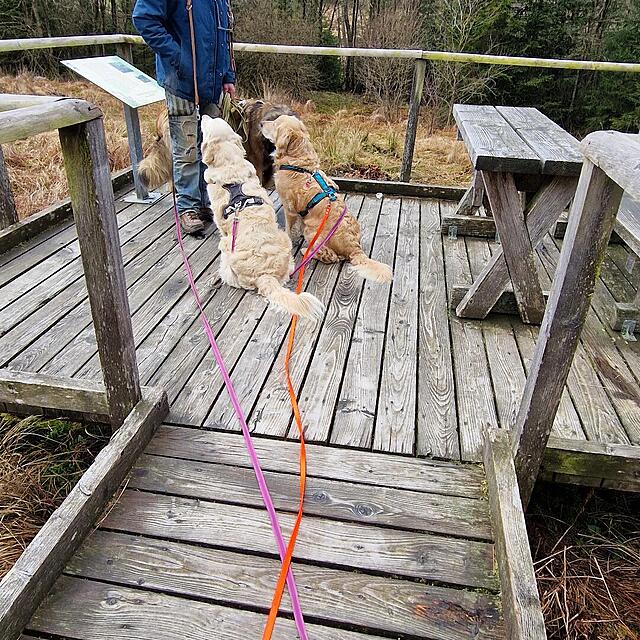 Klicke auf die Grafik für eine vergrößerte Ansicht  Name: 20260329_114006.jpg Ansichten: 63 Größe: 318,5 KB ID: 1210590