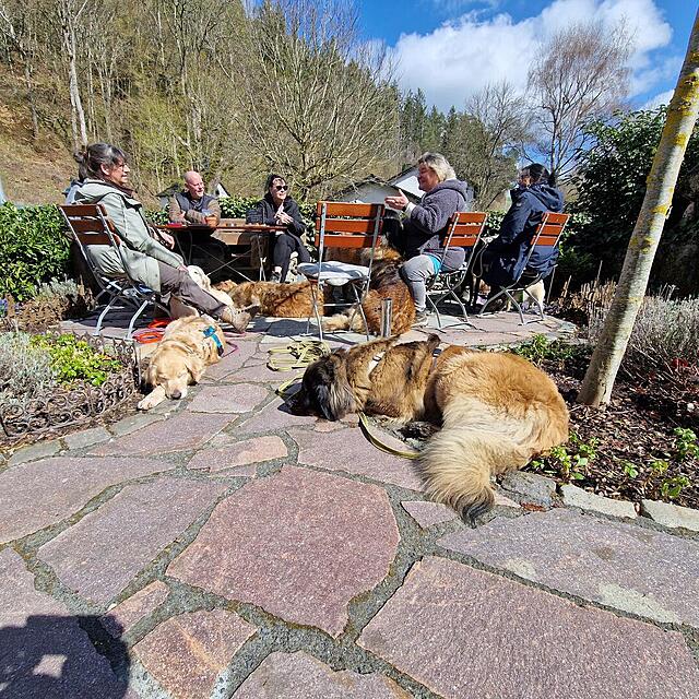 Klicke auf die Grafik für eine vergrößerte Ansicht  Name: 20260327_131051.jpg Ansichten: 63 Größe: 366,3 KB ID: 1210588