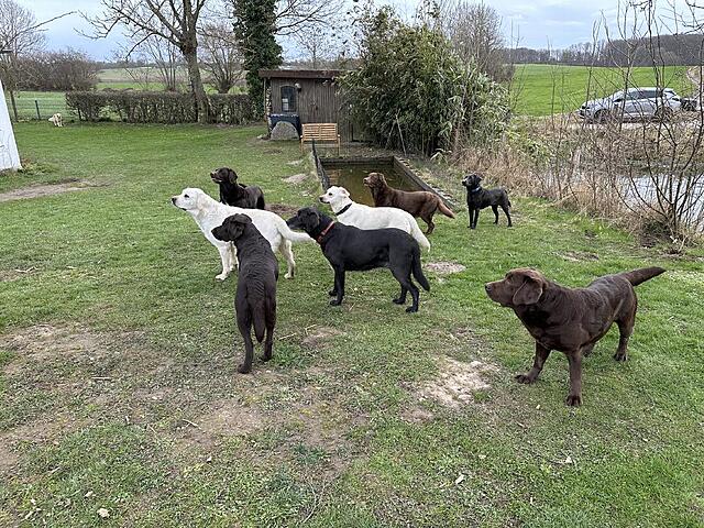 Klicke auf die Grafik für eine vergrößerte Ansicht

Name: IMG_3350.jpg
Ansichten: 21
Größe: 282,2 KB
ID: 1210771